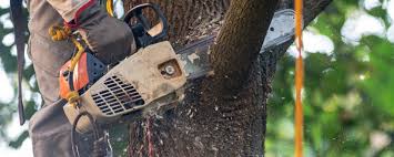 Best Soil Testing and Treatment  in Country Lake Estates, NJ