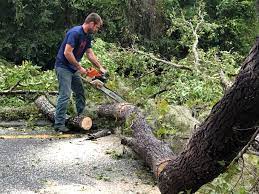 Best Tree Risk Assessment  in Country Lake Estates, NJ