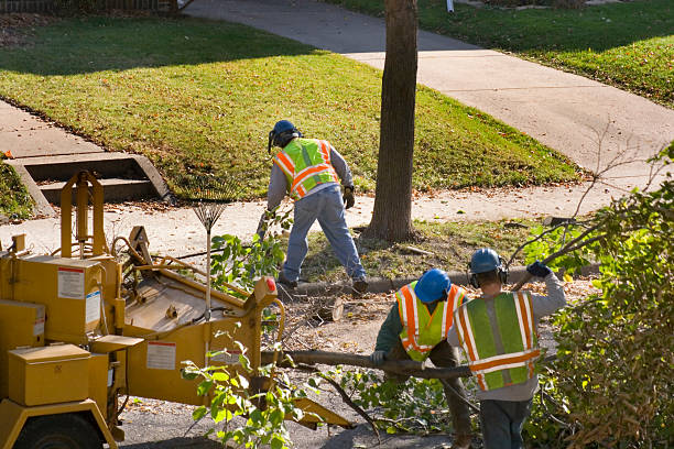 Best Emergency Tree Removal  in Country Lake Estates, NJ