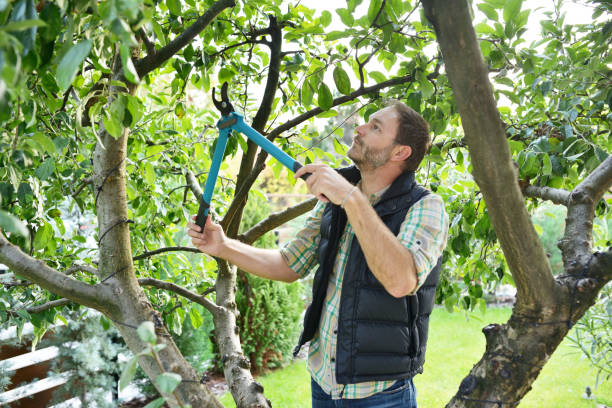 Best Arborist Consultation Services  in Country Lake Estates, NJ